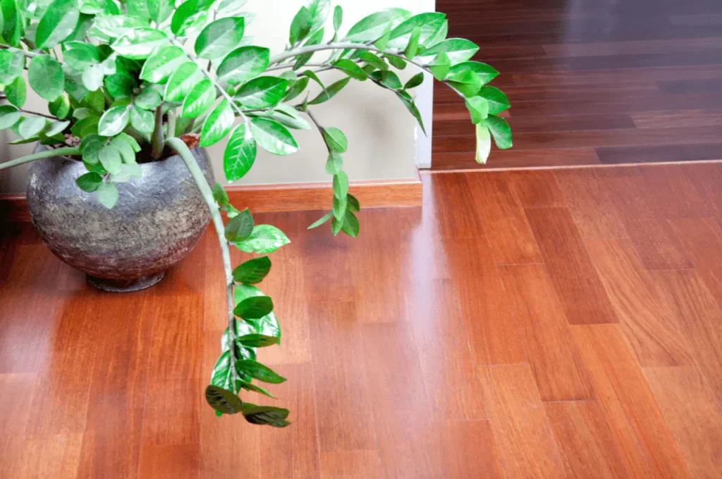 Eco-Friendly Flooring Options