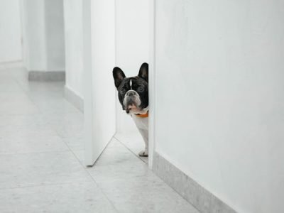 tile leveling